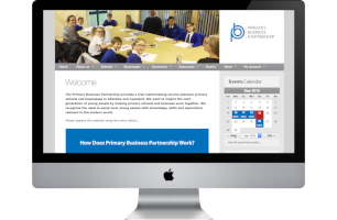 CfLP Primary Business Partnership